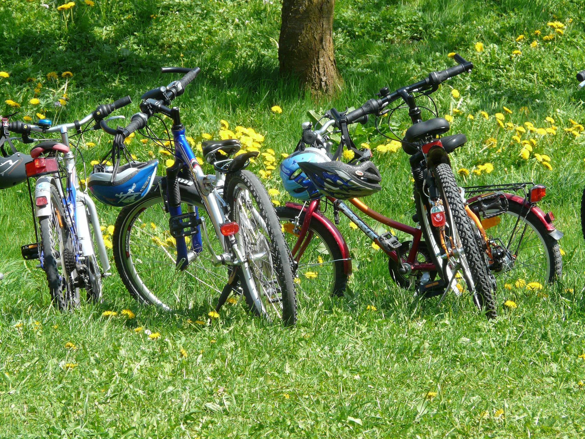 bikes in a field